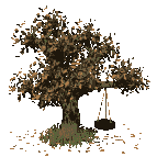 8_3